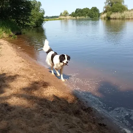 Bea Tatil Evi Buchholz Aller