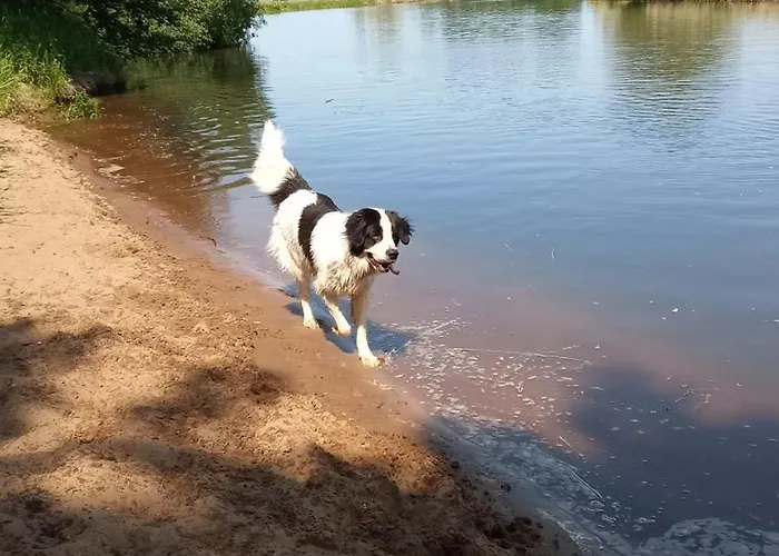 Bea Vakantiehuis Buchholz